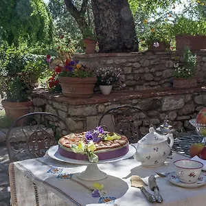 Il Paradisino , Sesto Fiorentino Italy